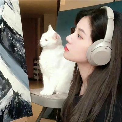 小镇警事 封面