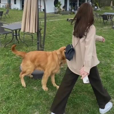 前科者 封面