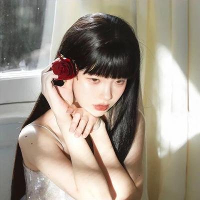 月球叛军：火之女导剪版 封面